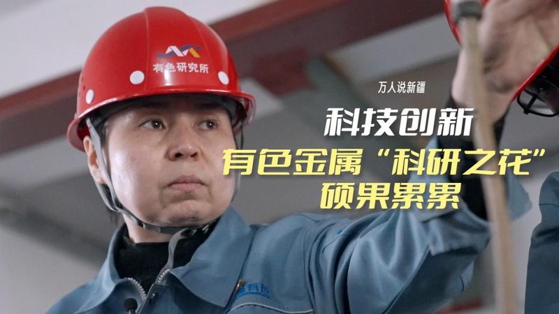 协同办公自动化，企业IT决策者的必看指南**
